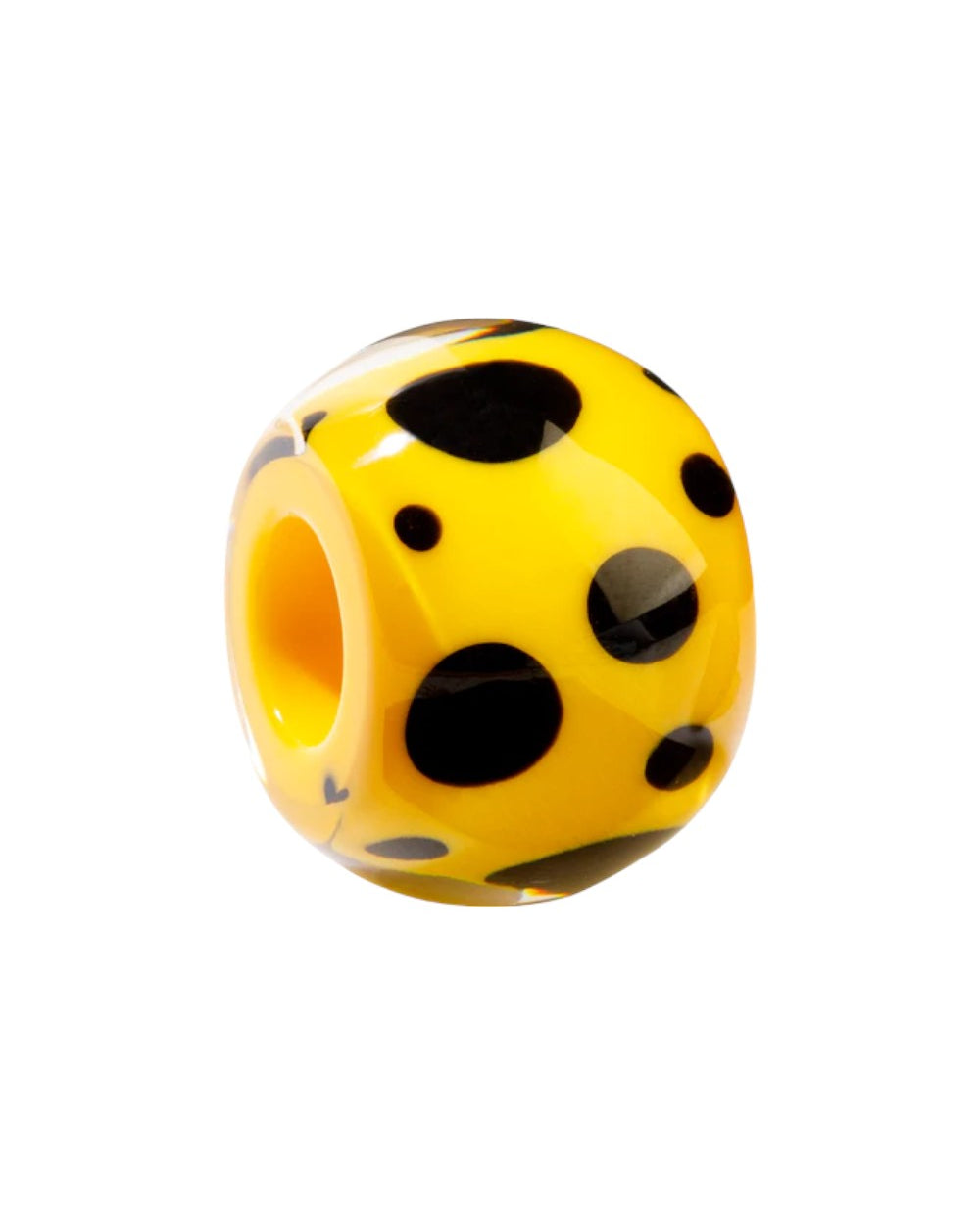 ZSISKA BLISS kraal - MUSEE