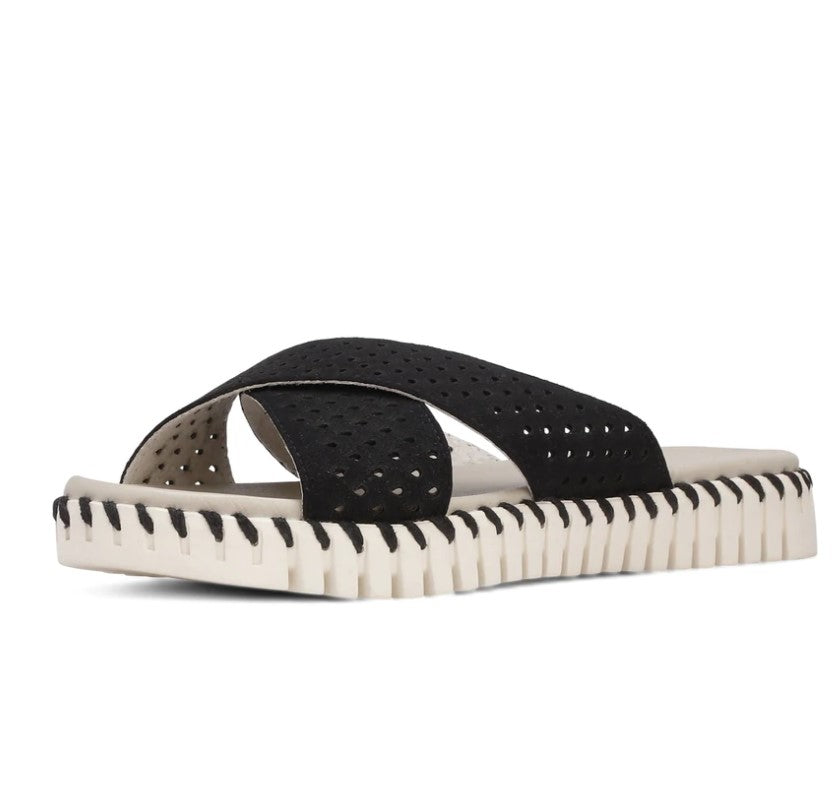 ILSE JACOBSEN slipper sandal TULIP black - Main Image